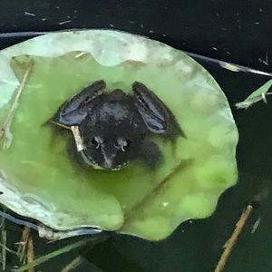 Meet your Posher, Candace